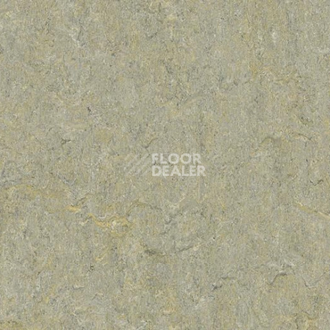 Линолеум Forbo Marmoleum Decibel on Order 580135 river bank фото 1 | FLOORDEALER